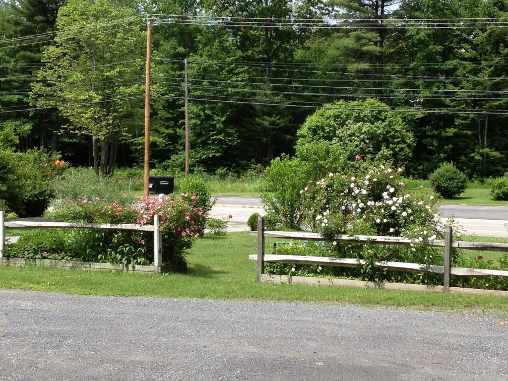 McGregor Inn Motel Wilton Buitenkant foto